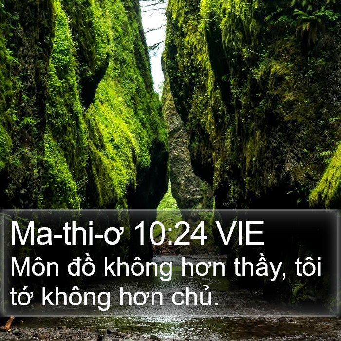 Ma-thi-ơ 10:24 VIE Bible Study