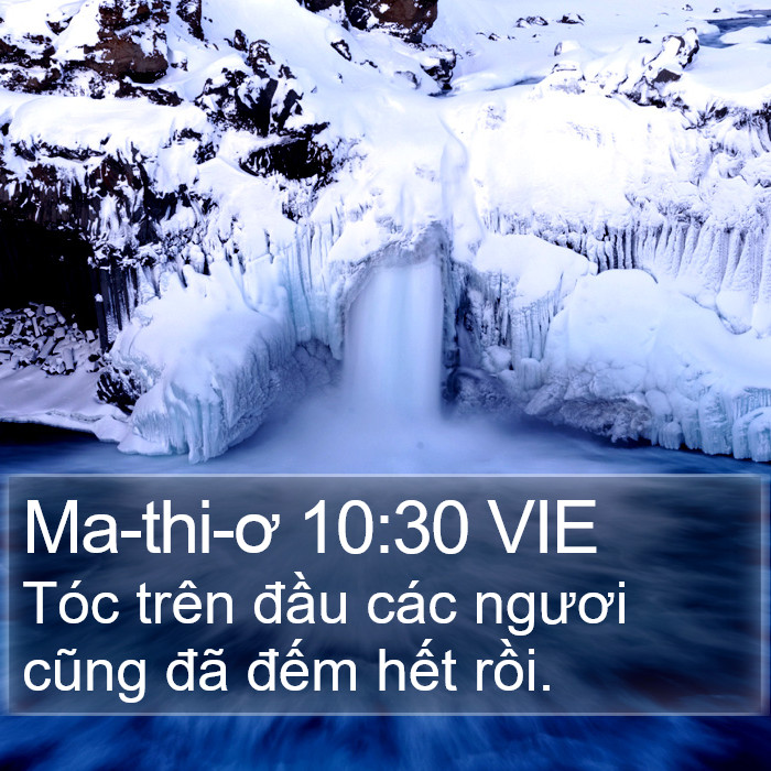 Ma-thi-ơ 10:30 VIE Bible Study