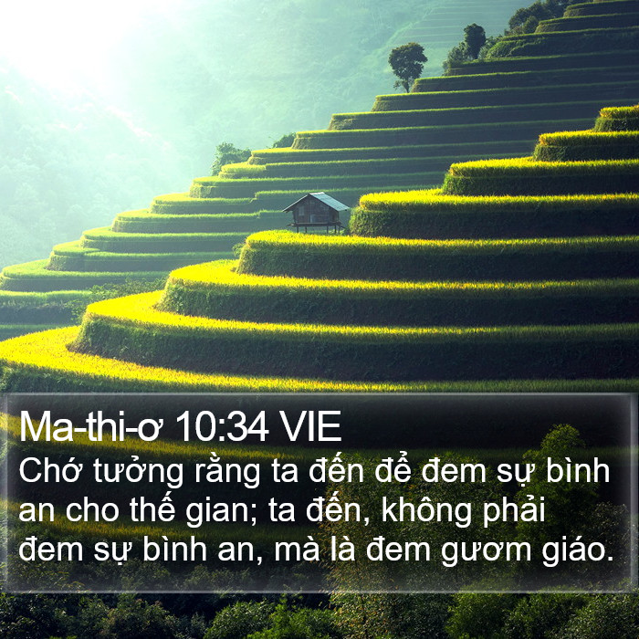 Ma-thi-ơ 10:34 VIE Bible Study