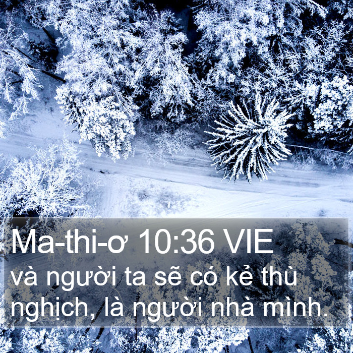 Ma-thi-ơ 10:36 VIE Bible Study