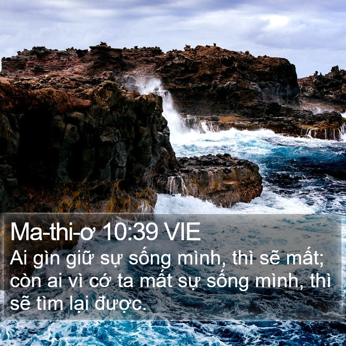 Ma-thi-ơ 10:39 VIE Bible Study
