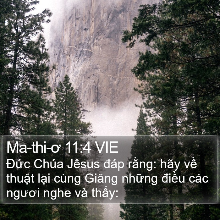 Ma-thi-ơ 11:4 VIE Bible Study