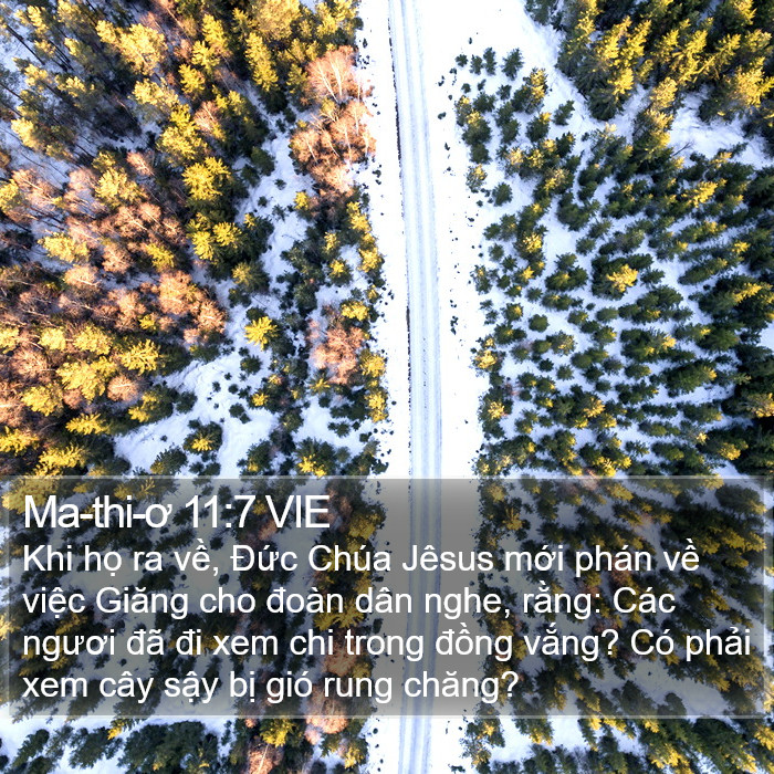 Ma-thi-ơ 11:7 VIE Bible Study