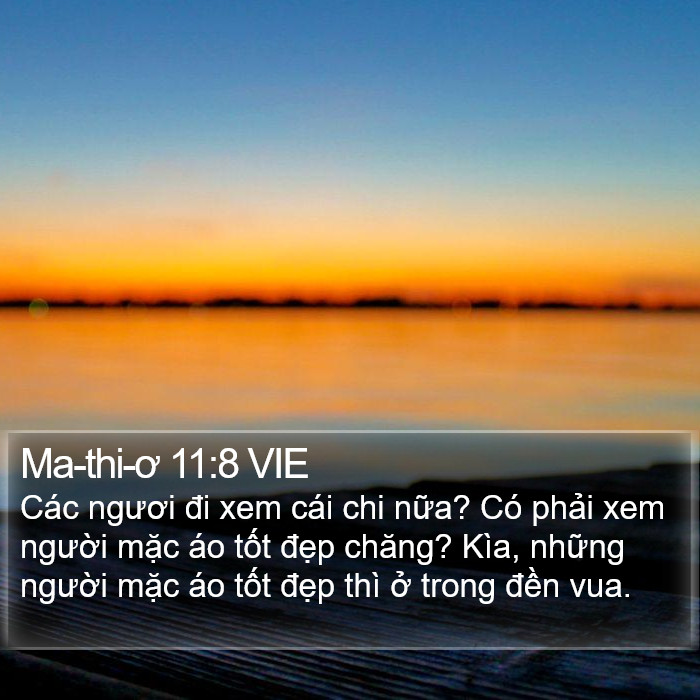 Ma-thi-ơ 11:8 VIE Bible Study