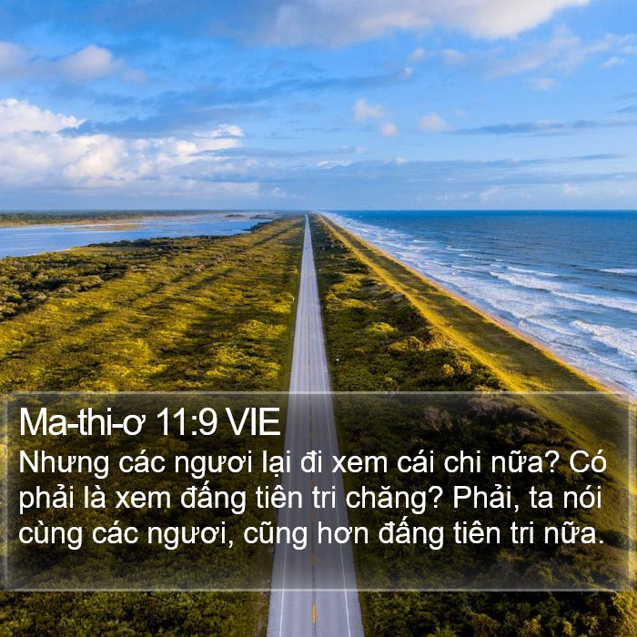 Ma-thi-ơ 11:9 VIE Bible Study