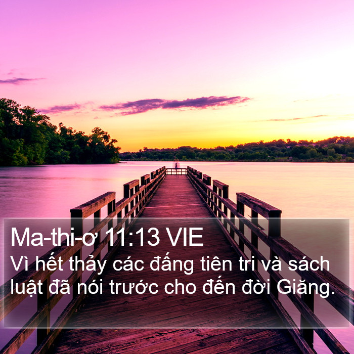 Ma-thi-ơ 11:13 VIE Bible Study