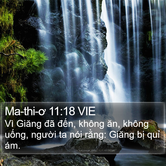 Ma-thi-ơ 11:18 VIE Bible Study