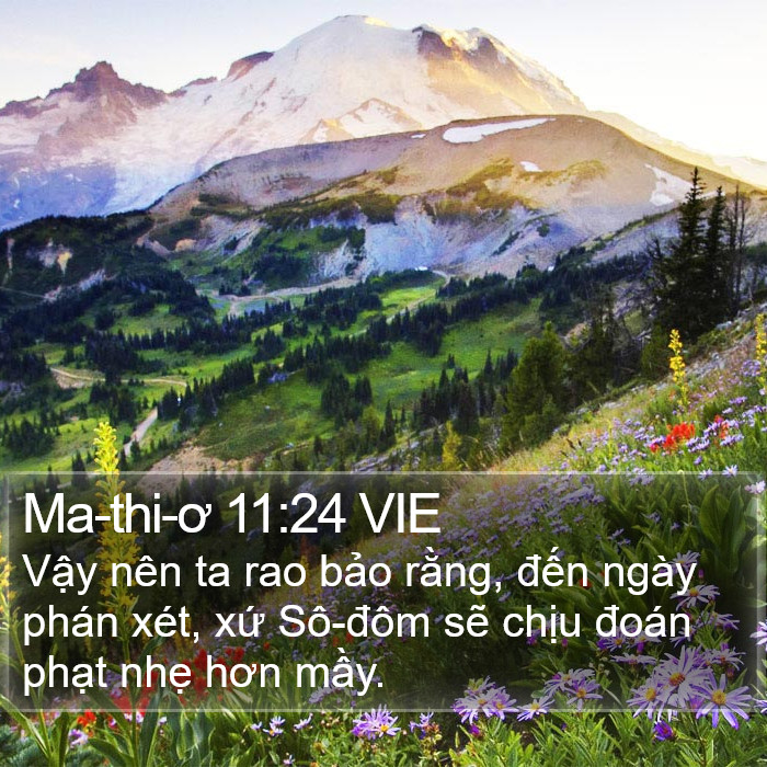 Ma-thi-ơ 11:24 VIE Bible Study