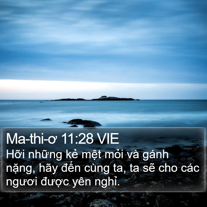 Ma-thi-ơ 11:28 VIE Bible Study