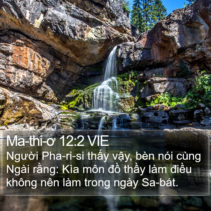 Ma-thi-ơ 12:2 VIE Bible Study