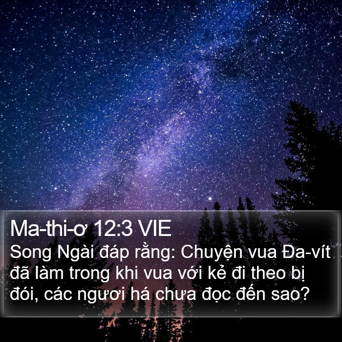 Ma-thi-ơ 12:3 VIE Bible Study