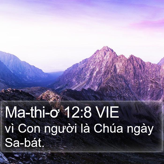 Ma-thi-ơ 12:8 VIE Bible Study