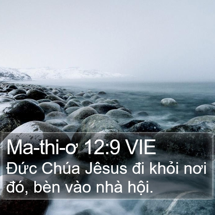 Ma-thi-ơ 12:9 VIE Bible Study