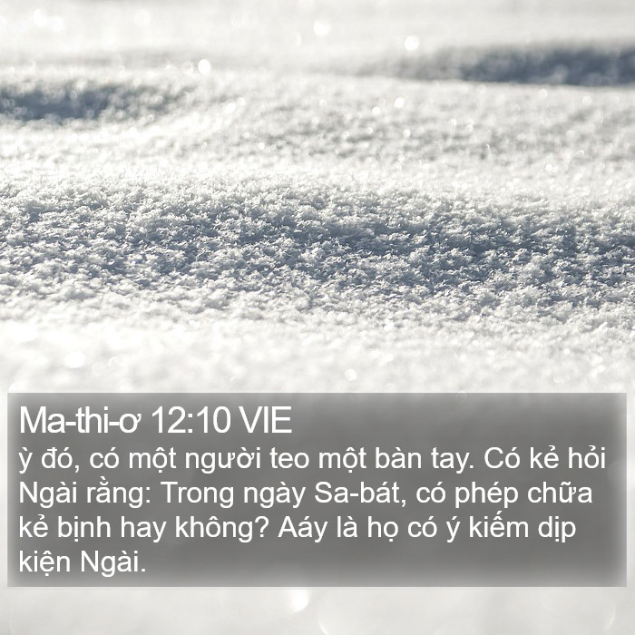 Ma-thi-ơ 12:10 VIE Bible Study