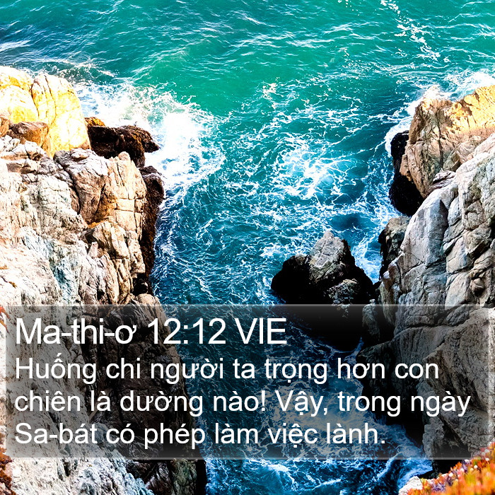 Ma-thi-ơ 12:12 VIE Bible Study