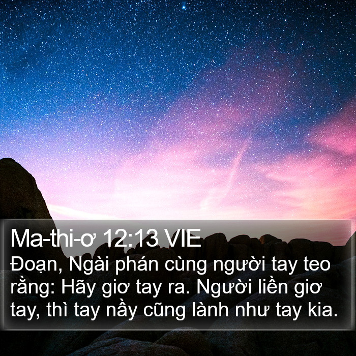 Ma-thi-ơ 12:13 VIE Bible Study