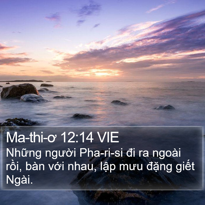 Ma-thi-ơ 12:14 VIE Bible Study