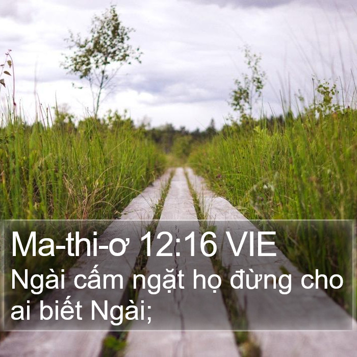 Ma-thi-ơ 12:16 VIE Bible Study