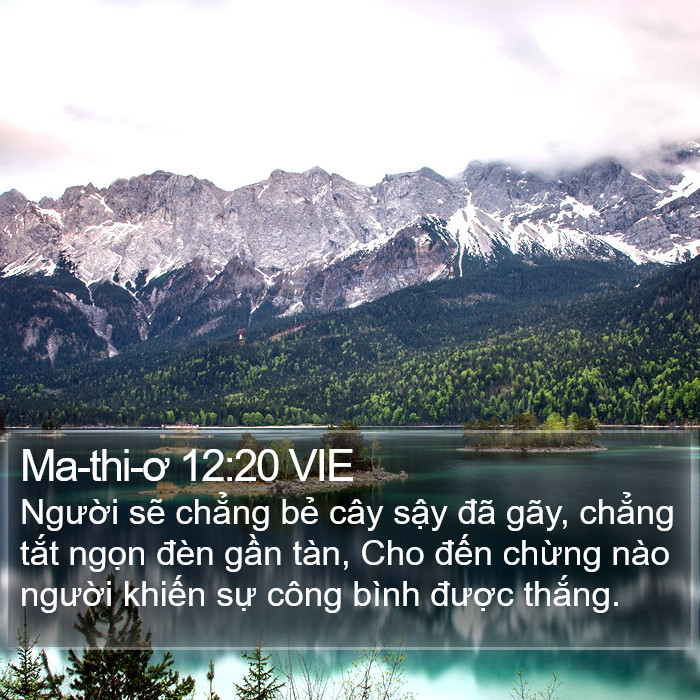 Ma-thi-ơ 12:20 VIE Bible Study