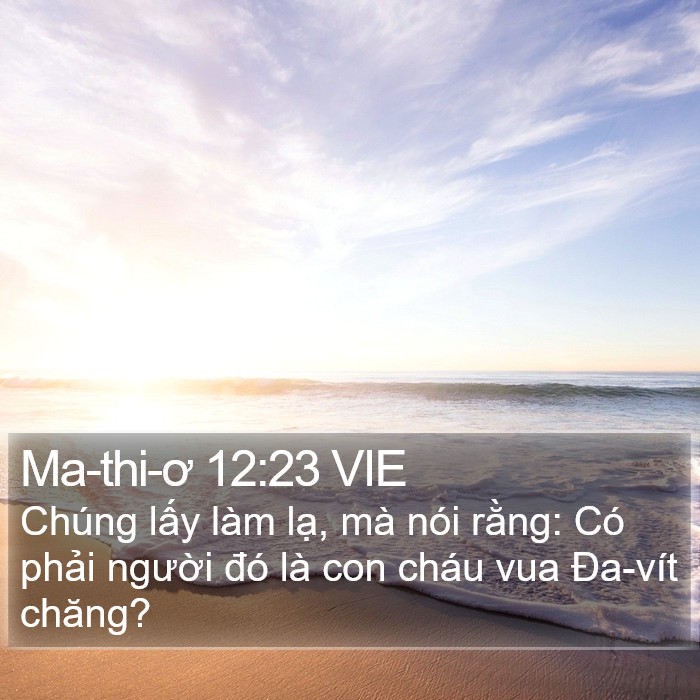 Ma-thi-ơ 12:23 VIE Bible Study