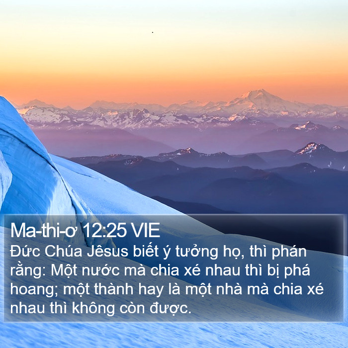 Ma-thi-ơ 12:25 VIE Bible Study