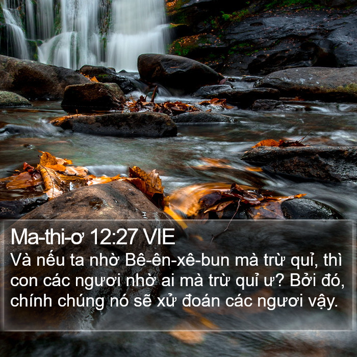 Ma-thi-ơ 12:27 VIE Bible Study