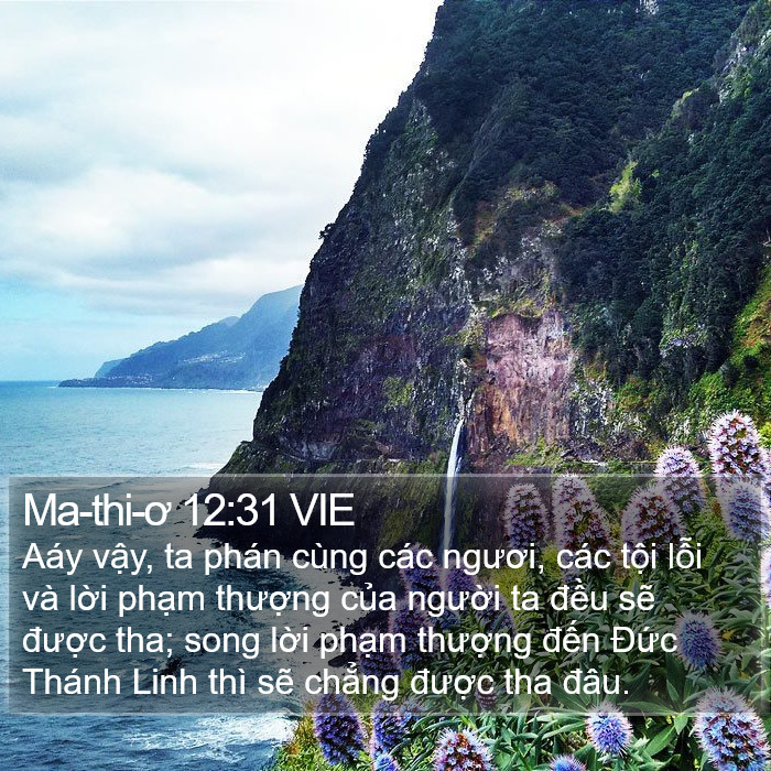 Ma-thi-ơ 12:31 VIE Bible Study