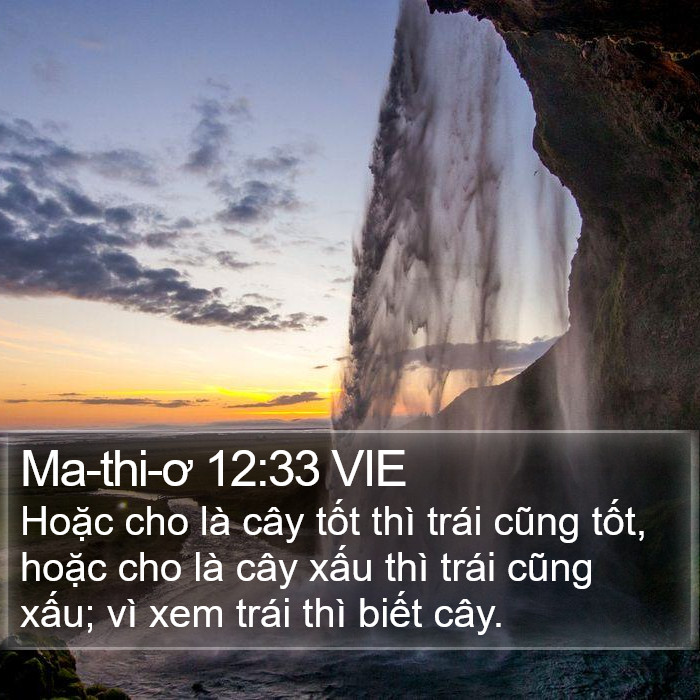 Ma-thi-ơ 12:33 VIE Bible Study