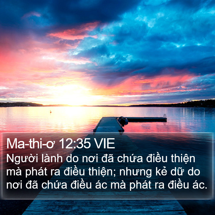 Ma-thi-ơ 12:35 VIE Bible Study