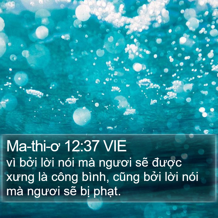 Ma-thi-ơ 12:37 VIE Bible Study