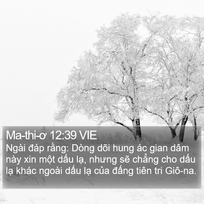 Ma-thi-ơ 12:39 VIE Bible Study