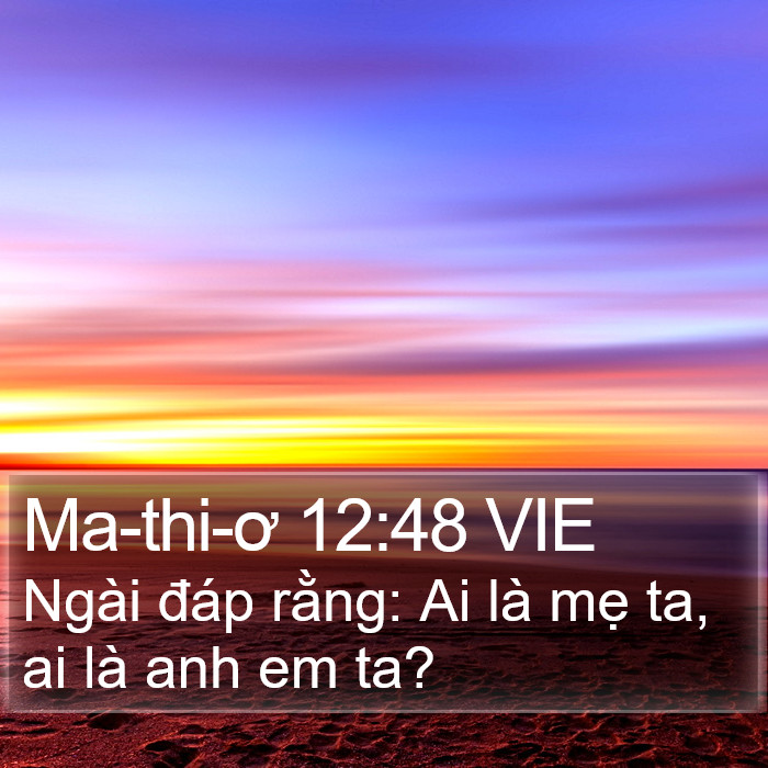 Ma-thi-ơ 12:48 VIE Bible Study