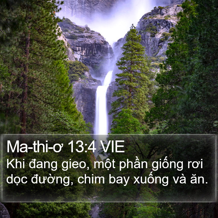Ma-thi-ơ 13:4 VIE Bible Study