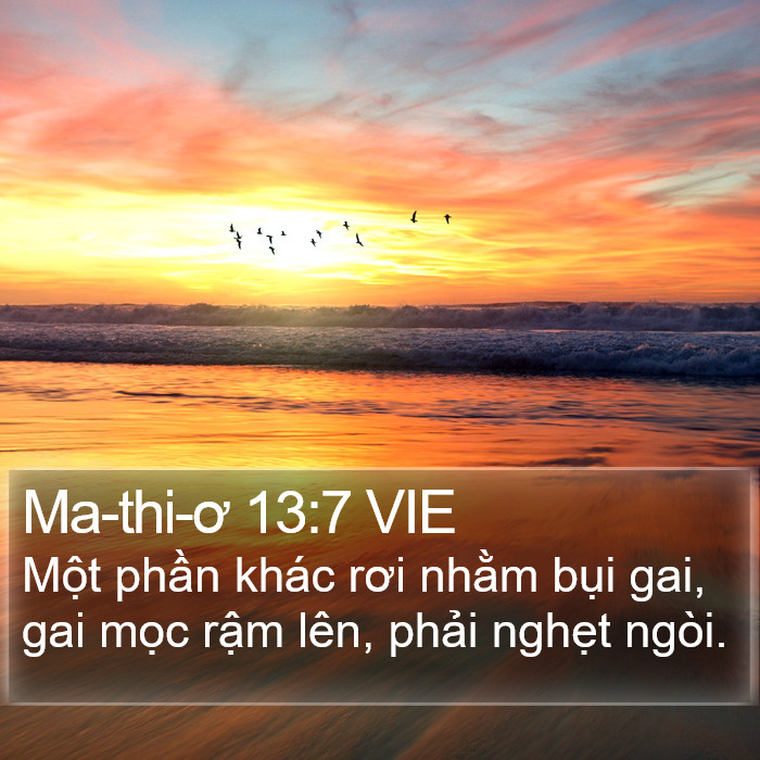 Ma-thi-ơ 13:7 VIE Bible Study