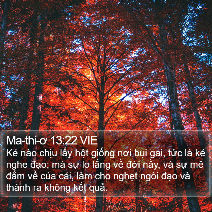 Ma-thi-ơ 13:22 VIE Bible Study