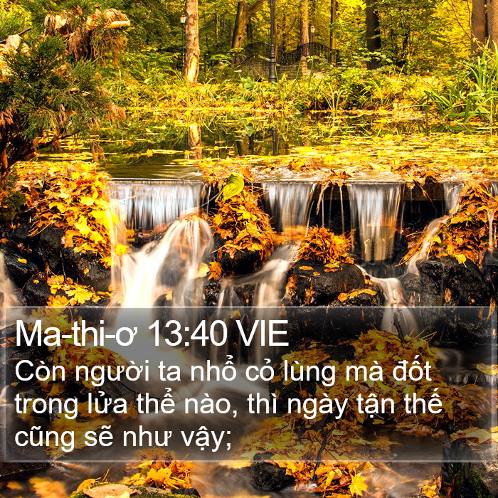 Ma-thi-ơ 13:40 VIE Bible Study