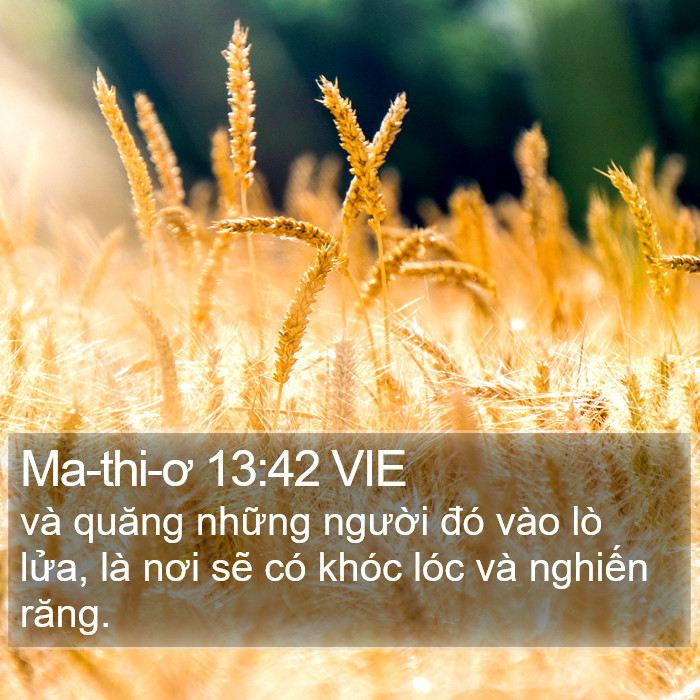Ma-thi-ơ 13:42 VIE Bible Study