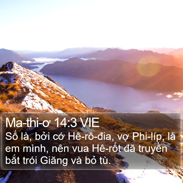 Ma-thi-ơ 14:3 VIE Bible Study