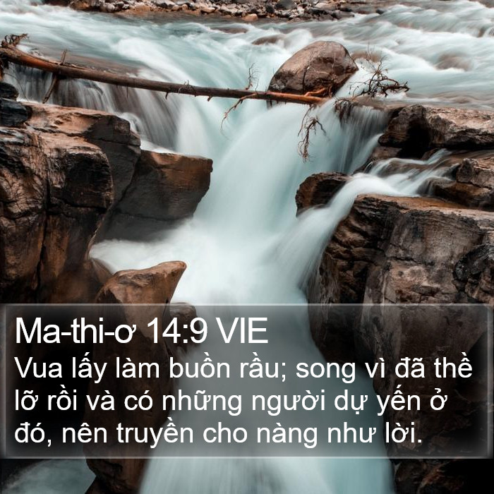 Ma-thi-ơ 14:9 VIE Bible Study