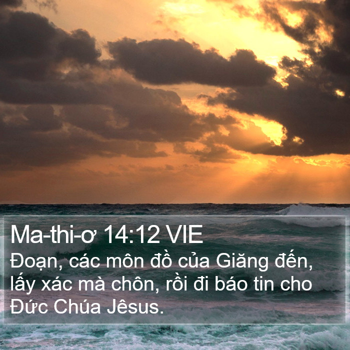 Ma-thi-ơ 14:12 VIE Bible Study