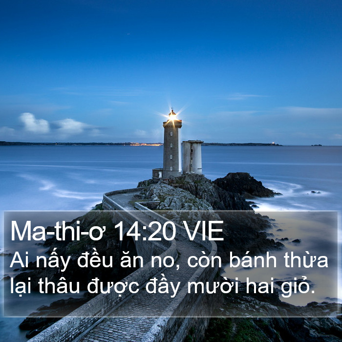 Ma-thi-ơ 14:20 VIE Bible Study