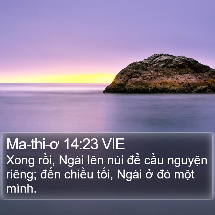 Ma-thi-ơ 14:23 VIE Bible Study