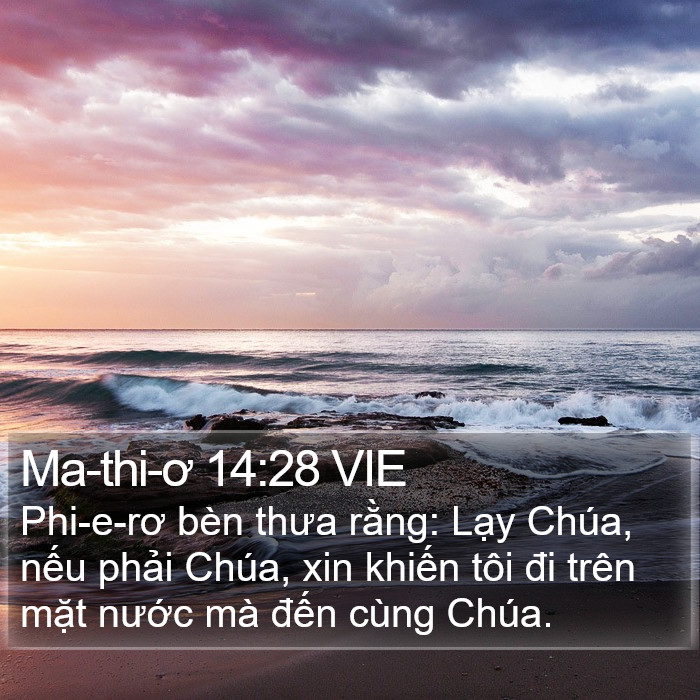 Ma-thi-ơ 14:28 VIE Bible Study