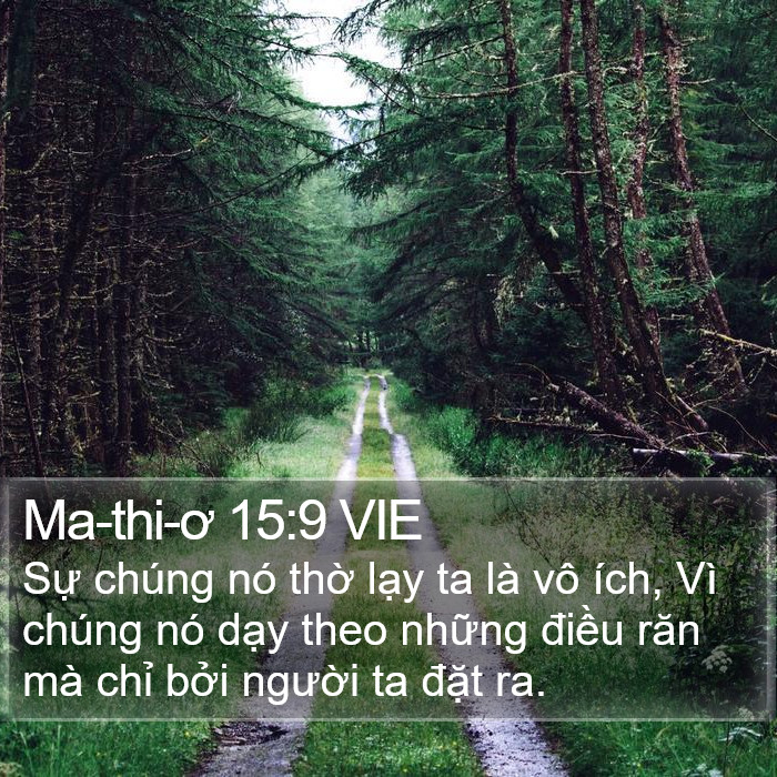 Ma-thi-ơ 15:9 VIE Bible Study
