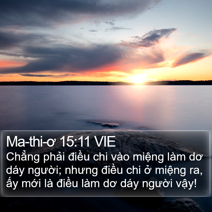 Ma-thi-ơ 15:11 VIE Bible Study