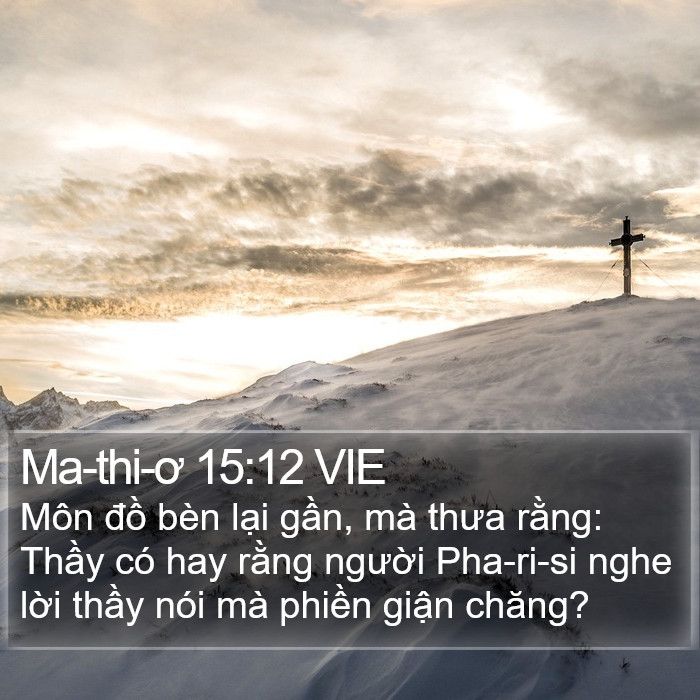 Ma-thi-ơ 15:12 VIE Bible Study