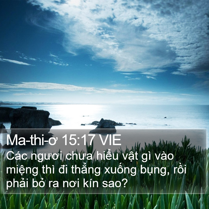 Ma-thi-ơ 15:17 VIE Bible Study