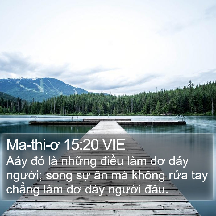 Ma-thi-ơ 15:20 VIE Bible Study