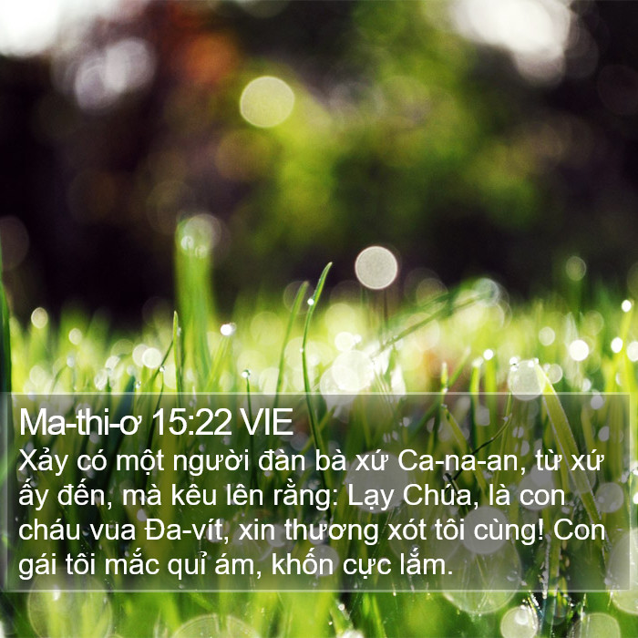 Ma-thi-ơ 15:22 VIE Bible Study