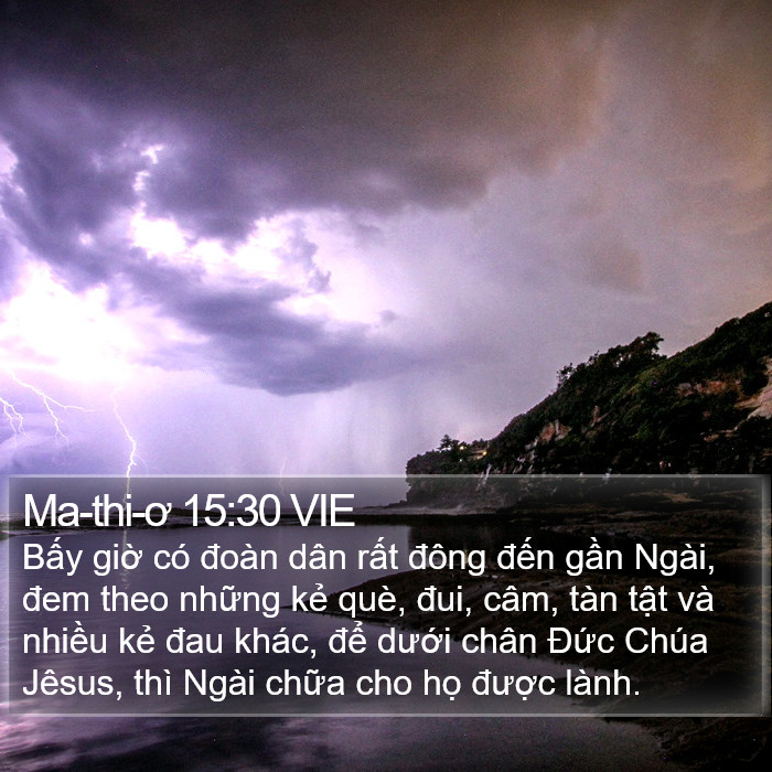 Ma-thi-ơ 15:30 VIE Bible Study